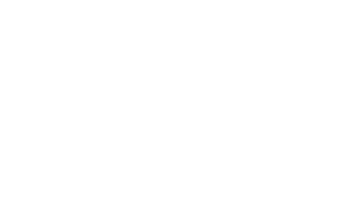 Kingfisher logo